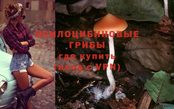 гидропоника Кинешма