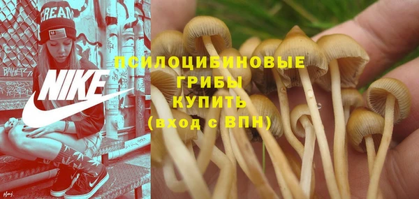 гидропоника Кинешма